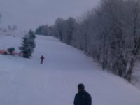 DSC 0436