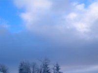 DSC 0525