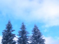 DSC 0526