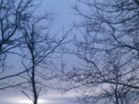 DSC 0533