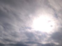 DSC 0550