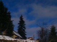 DSC 0554