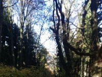 DSC 0234