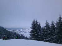 DSC 0885