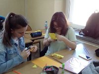 mms img20846300529