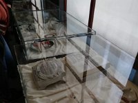IMG-20191126-WA0015