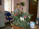 �wi�ta w bibliotece