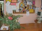 �wi�ta w bibliotece