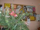 �wi�ta w bibliotece