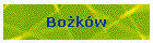 Bokw