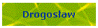 Drogosaw