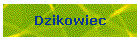 Dzikowiec