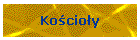 Kocioy