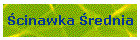 cinawka rednia